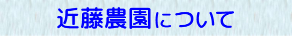 近藤農園について